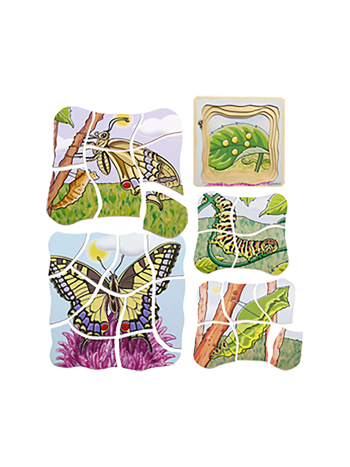 BELEDUC | Lagenpuzzle Schmetterling | 